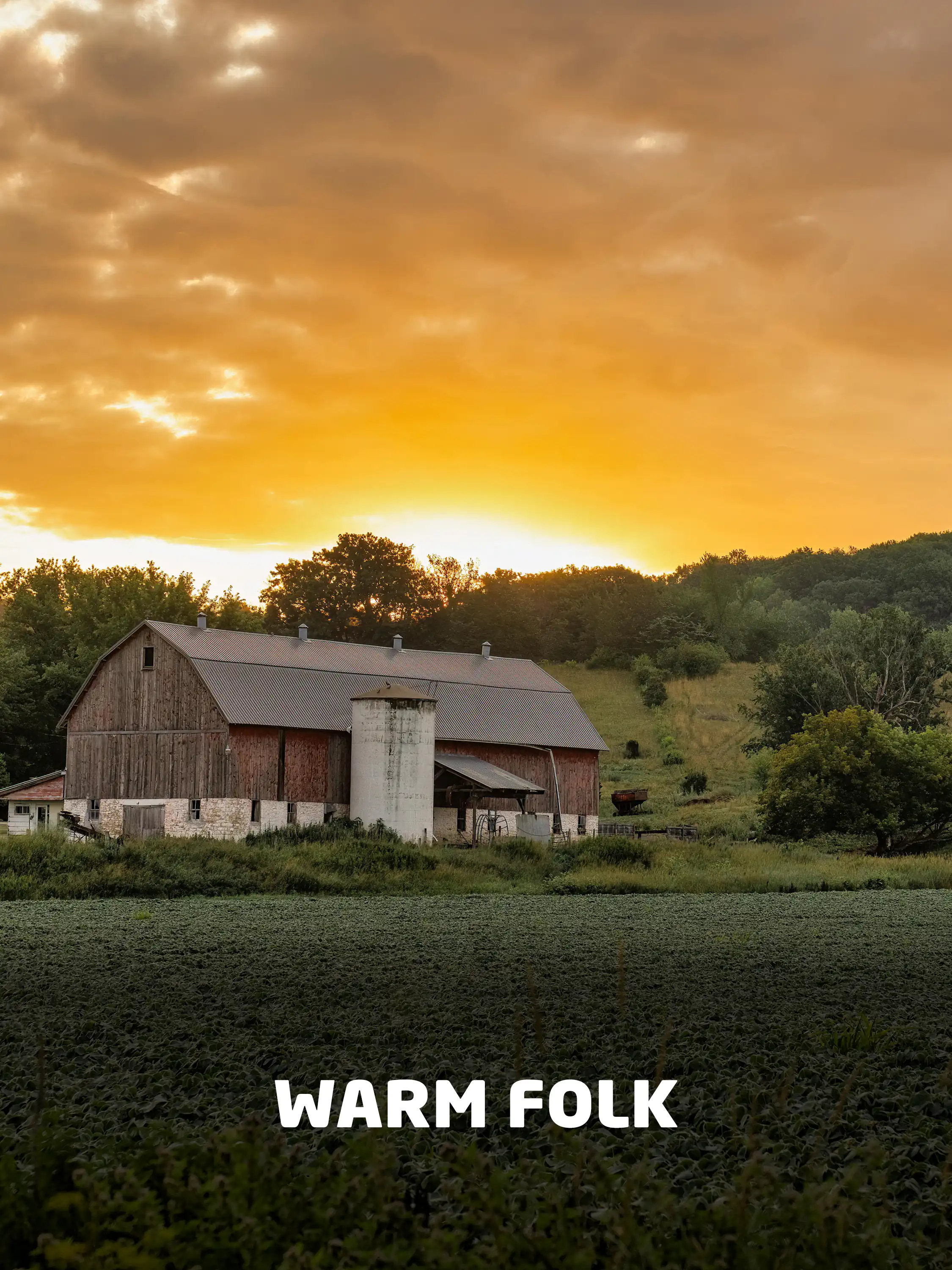 Film Scores: Light Warm Folk